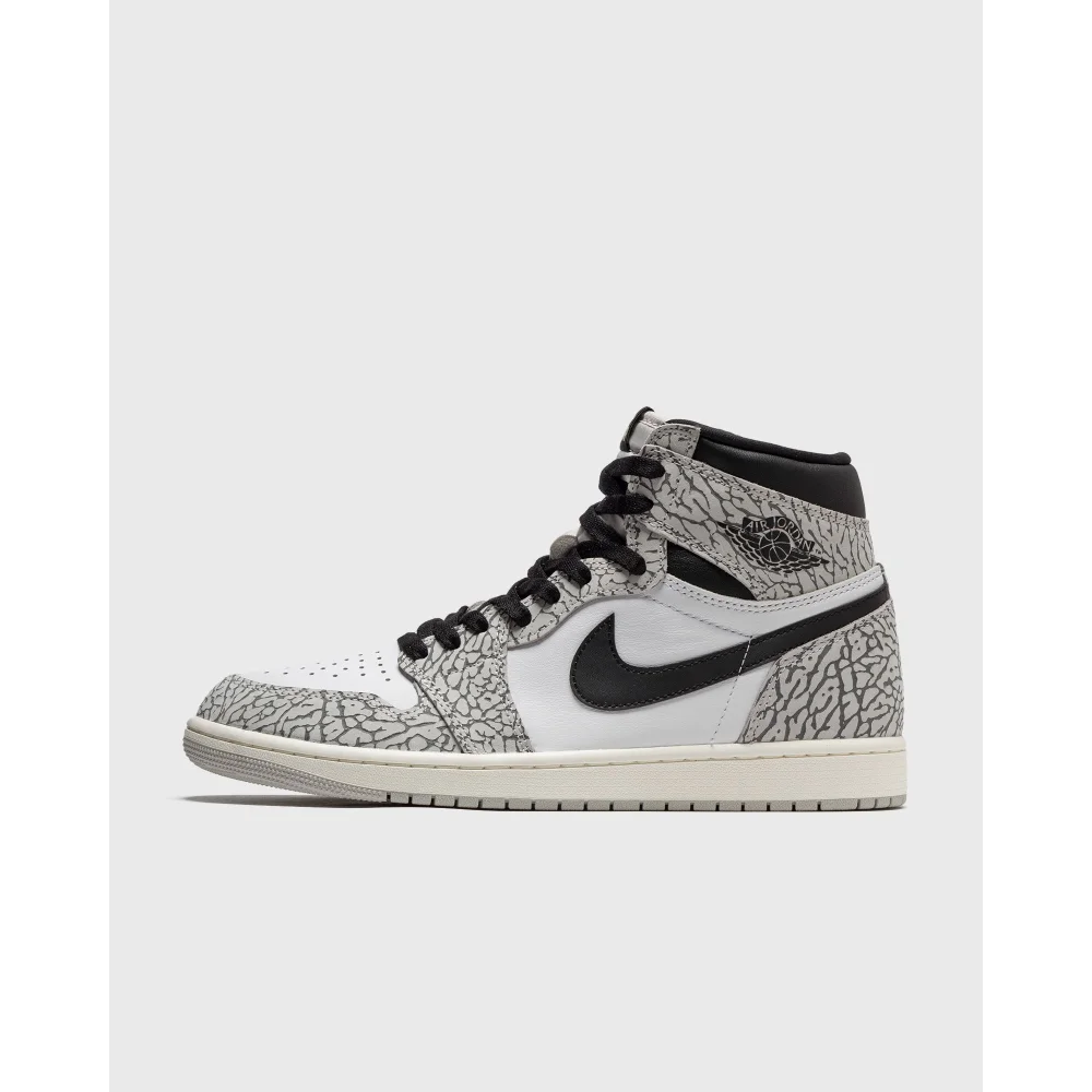NIKE JORDAN 1 Retro High OG DZ5485 052 / grau