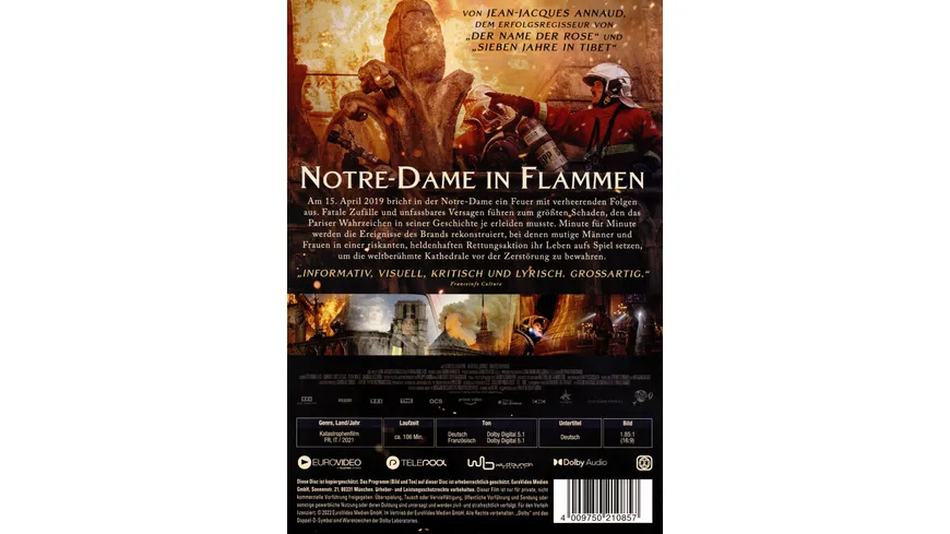 Notre-Dame in Flammen