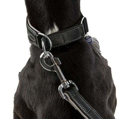 Trixie Active Comfort Halsband für Windhunde, schwarz/grau