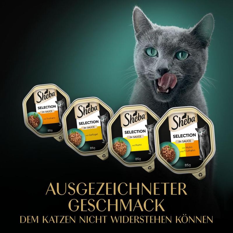 Multipack Sheba Varietäten Schälchen 32 x 85 g