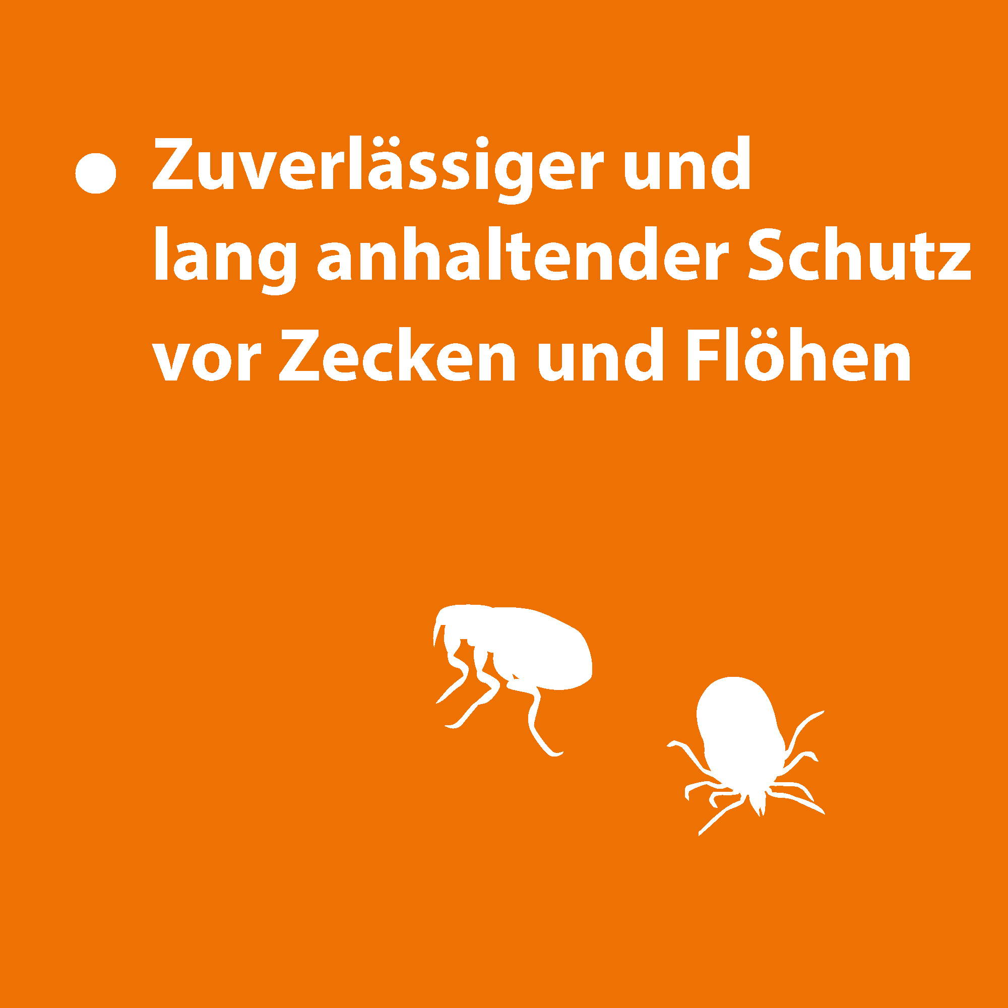 Ardap Floh- & Zeckenmittel Ardap Spot-On für Hunde S