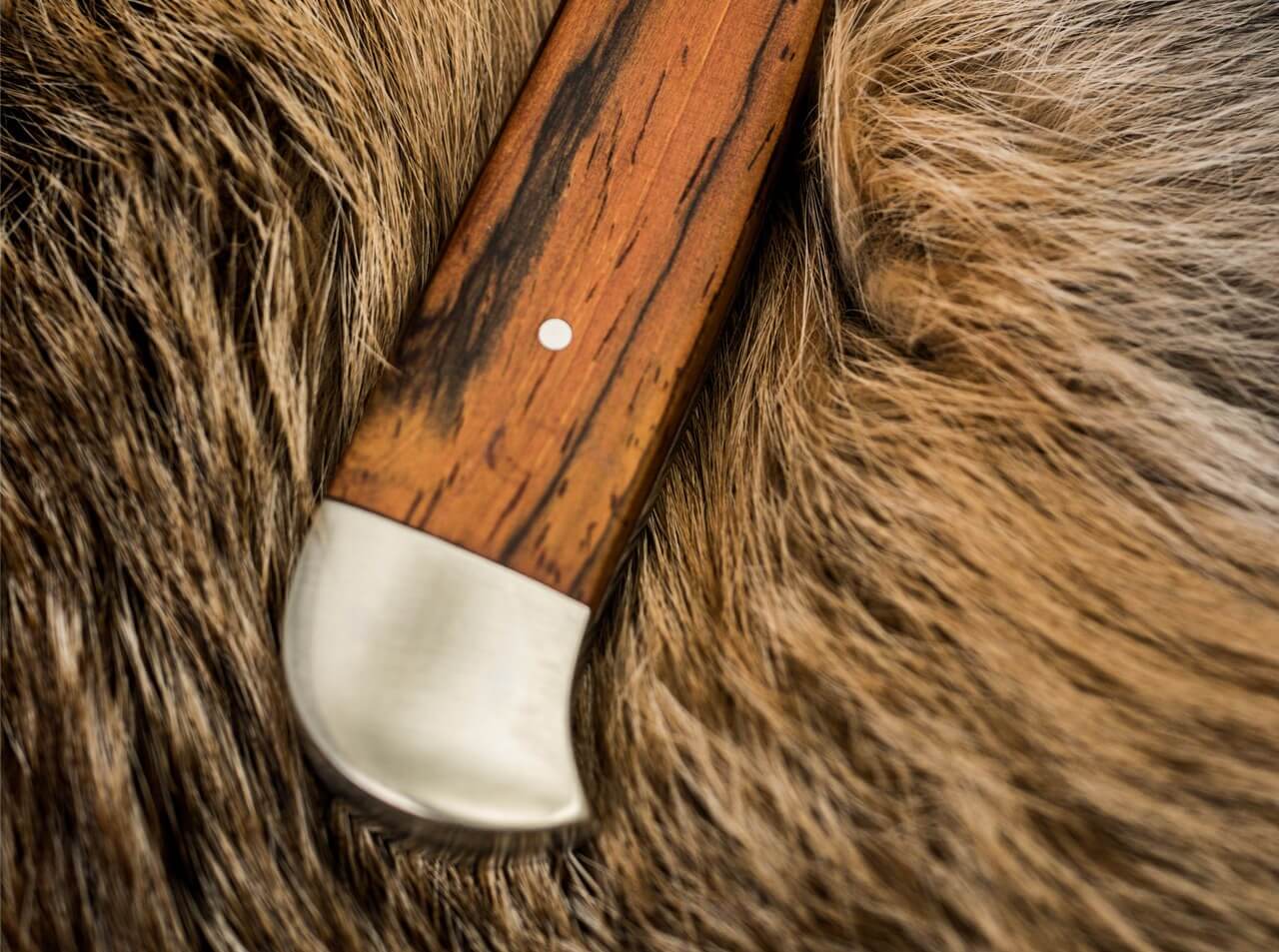 Försternicker Cocobolo