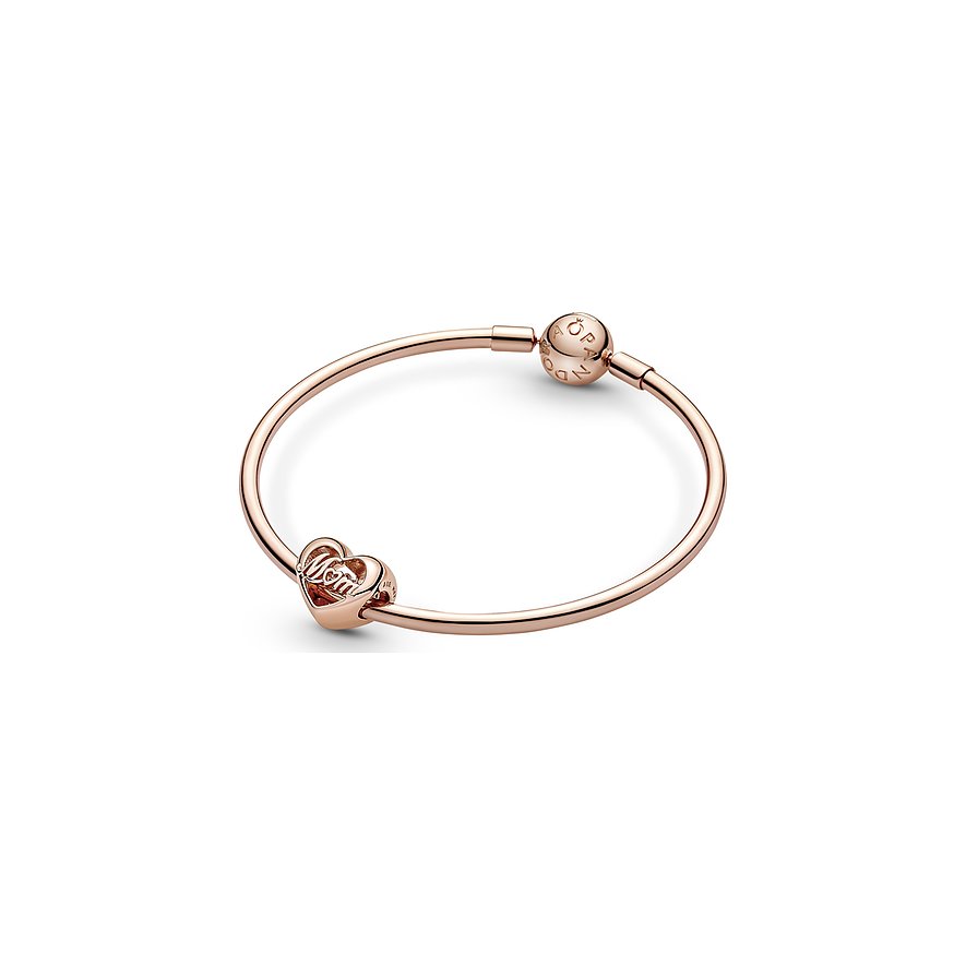 Pandora Charm Moments