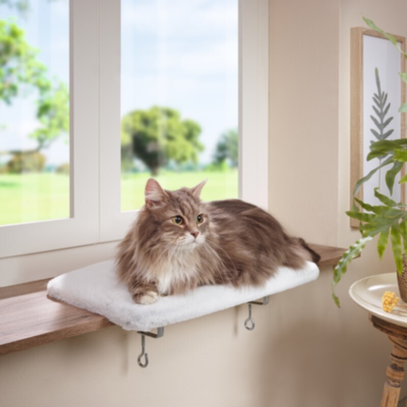 AniOne Katzenhängematten & Fensterliegeplätze AniOne Fensterliegeplatz
