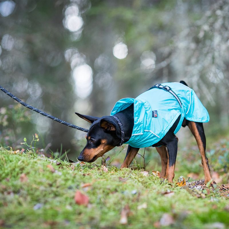 Rukka Regenmantel Hase, aqua zu TOP-Preisen