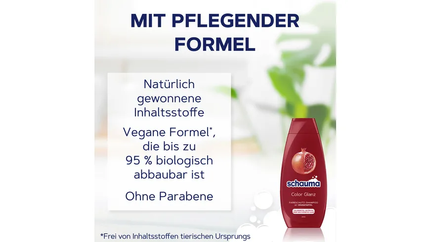 Schauma Shampoo Color Glanz 400 ml