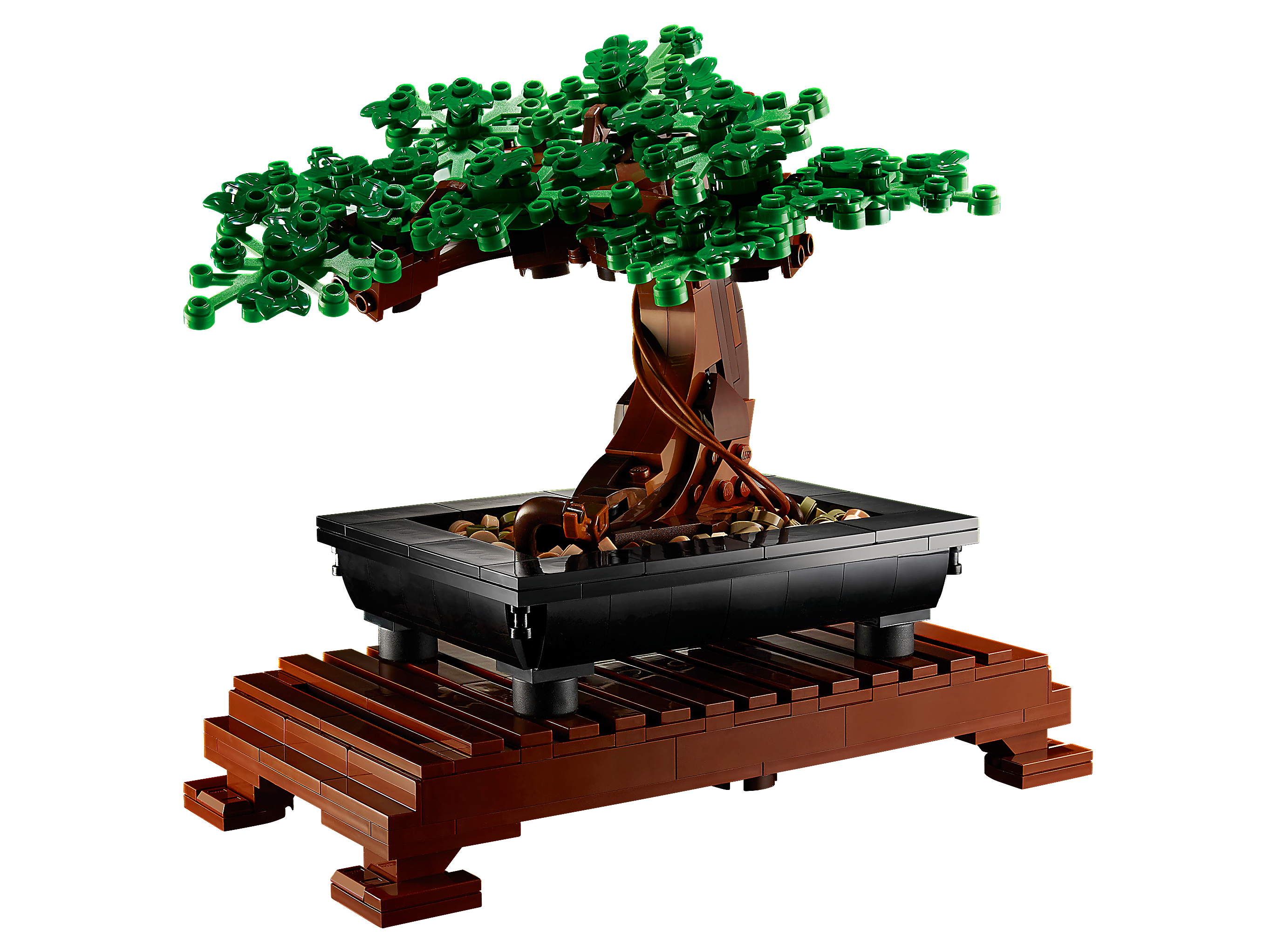 Bonsai Baum 10281