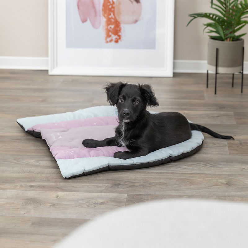 Trixie Junior Liegematte Patchwork zu TOP-Preisen