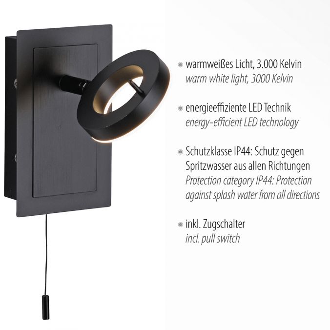 Paul Neuhaus 1-flg LED Wandleuchte Sileda Anthrazit