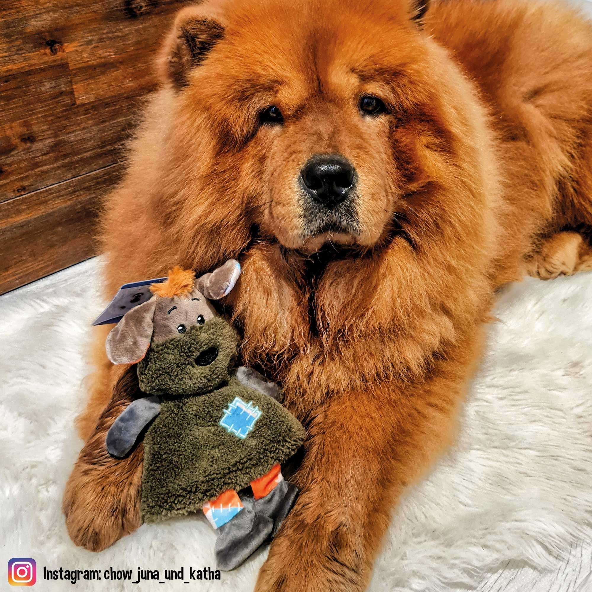 TRIXIE Tierkuscheltier Plüschhund Lottchen - Hundespielzeug, Polyester, (1-tlg) Raschelfolie im Körper!