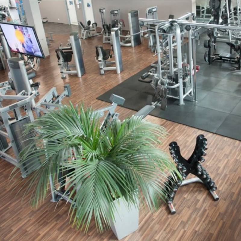 Erlebnis hello fit Studioticket