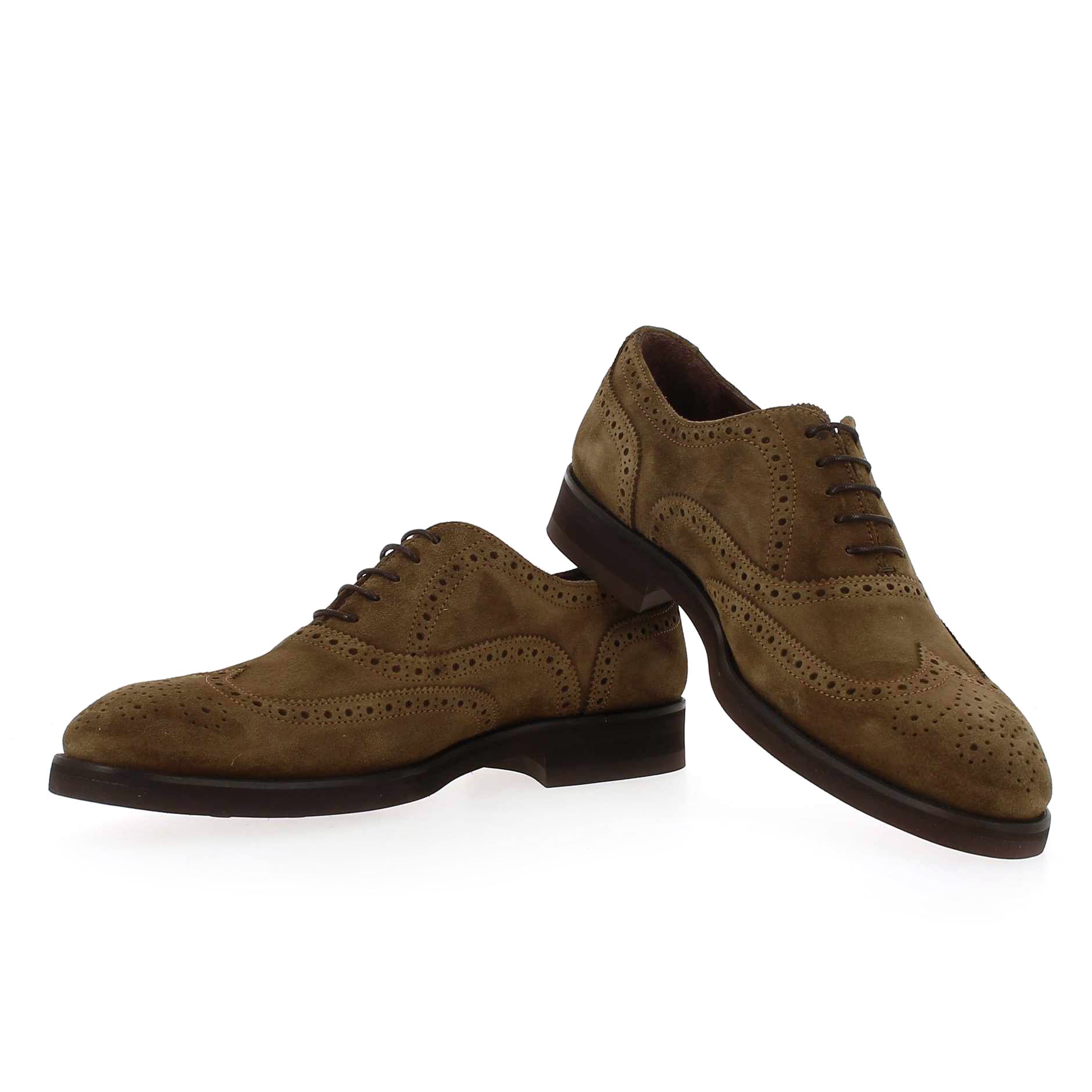 Paco Milan  3491 177 - marron