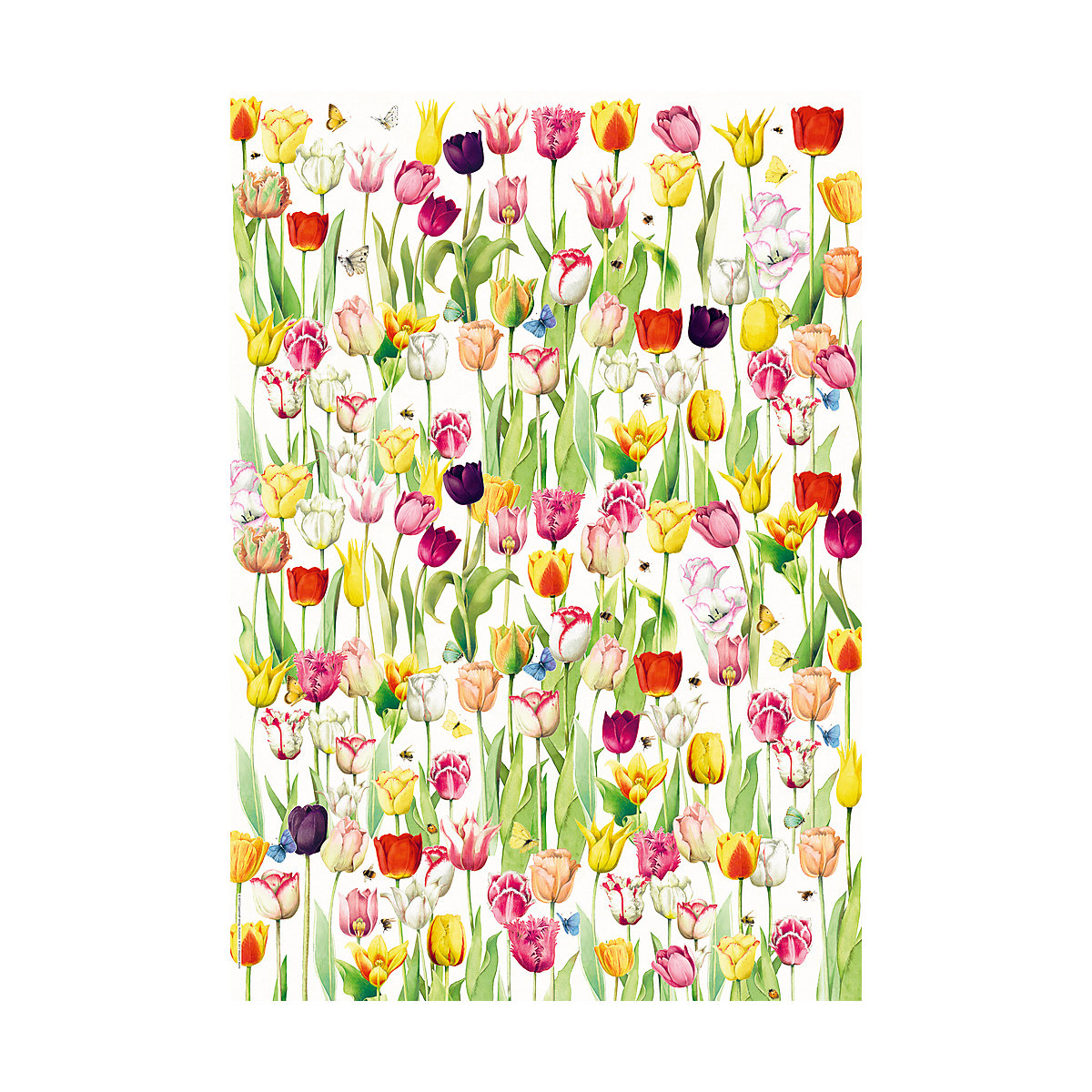 Geschenkpapier-Buch - Schöner schenken, 10 Bogen á 50 x 70 cm + 9 Geschenkanhänger