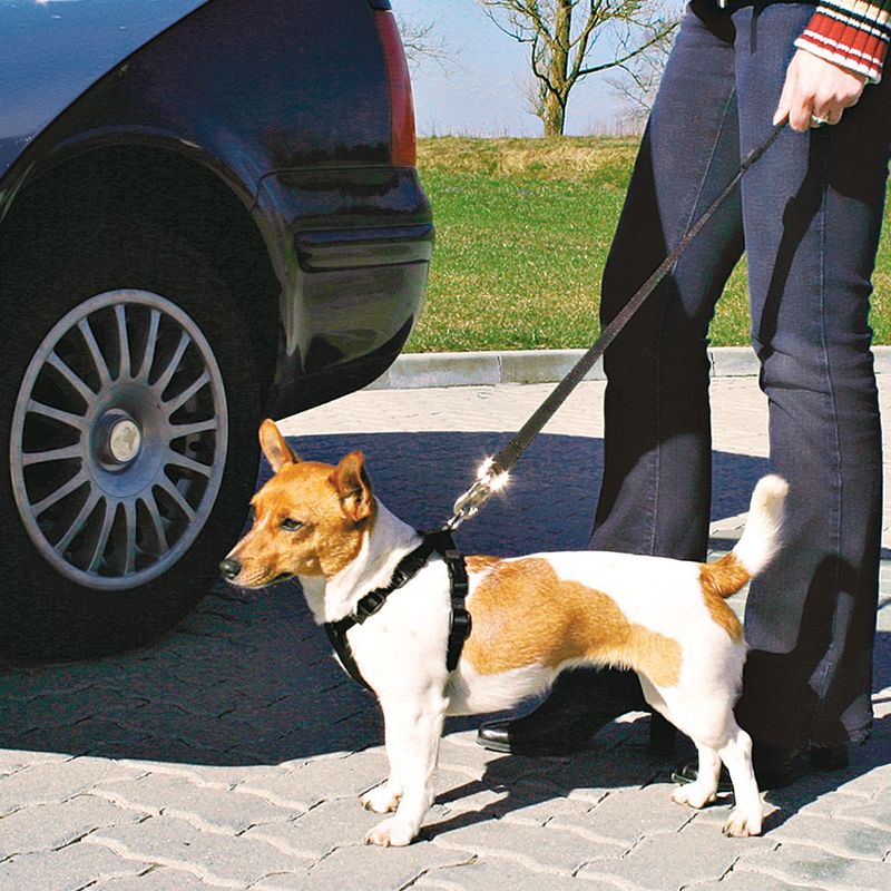 Trixie Auto-Geschirr für Hunde zu TOP-Preisen
