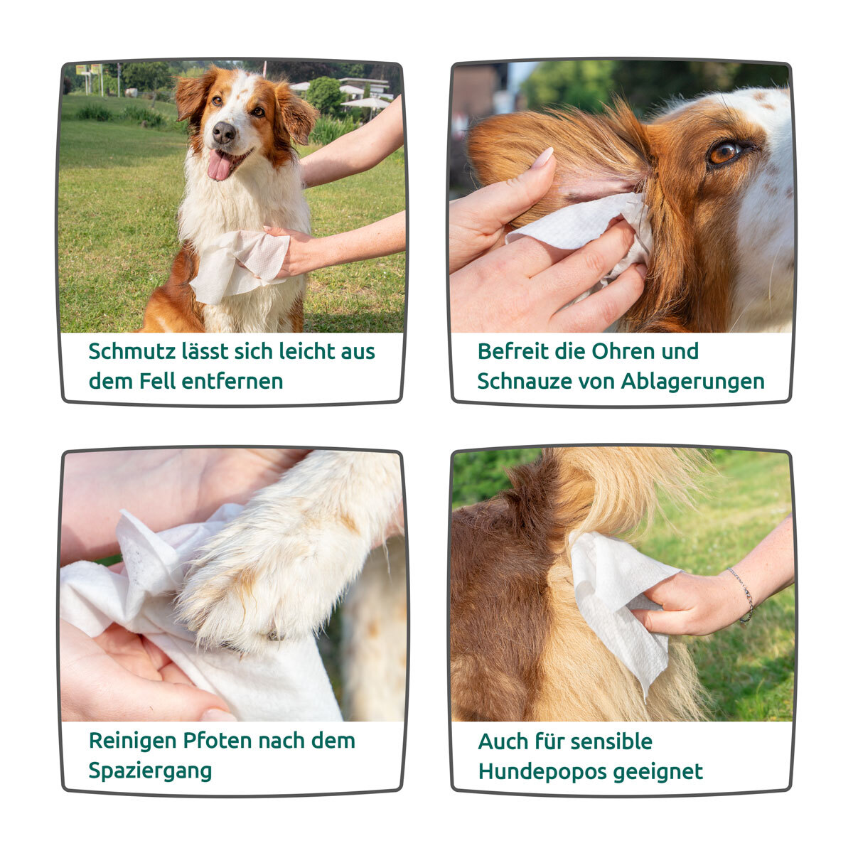 Aniforte Windeln & Hygiene Aniforte Pflegetücher 100 Stück