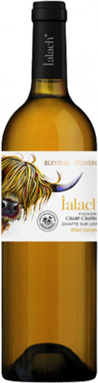 2022 IALACH Blanc trocken - Domaine du Champ Chapron