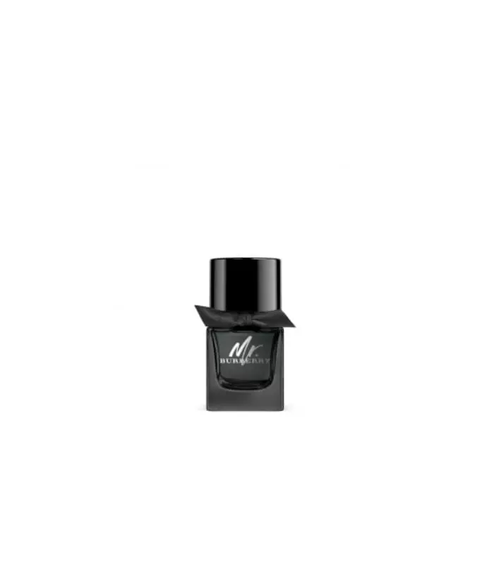MR. BURBERRY Eau de Parfum Vaporisateur