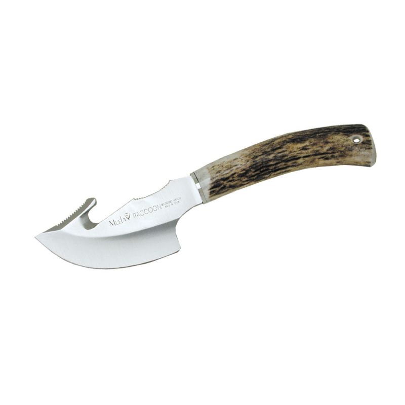 Muela Raccoon Stag 8A