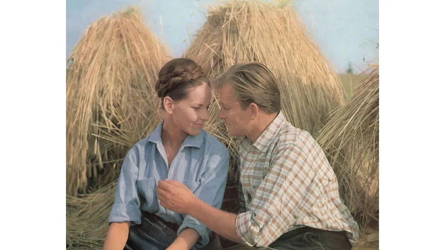 Das Mädel aus dem Böhmerwald (Filmjuwelen)