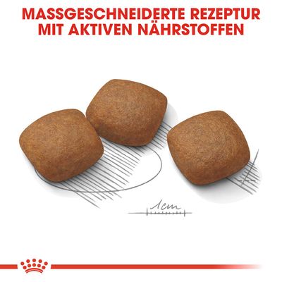 Royal Canin Maxi Joint Care
