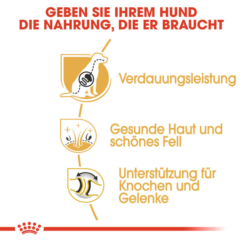 ROYAL CANIN Hundetrockenfutter ROYAL CANIN Deutscher Schäferhund Adult 11 kg