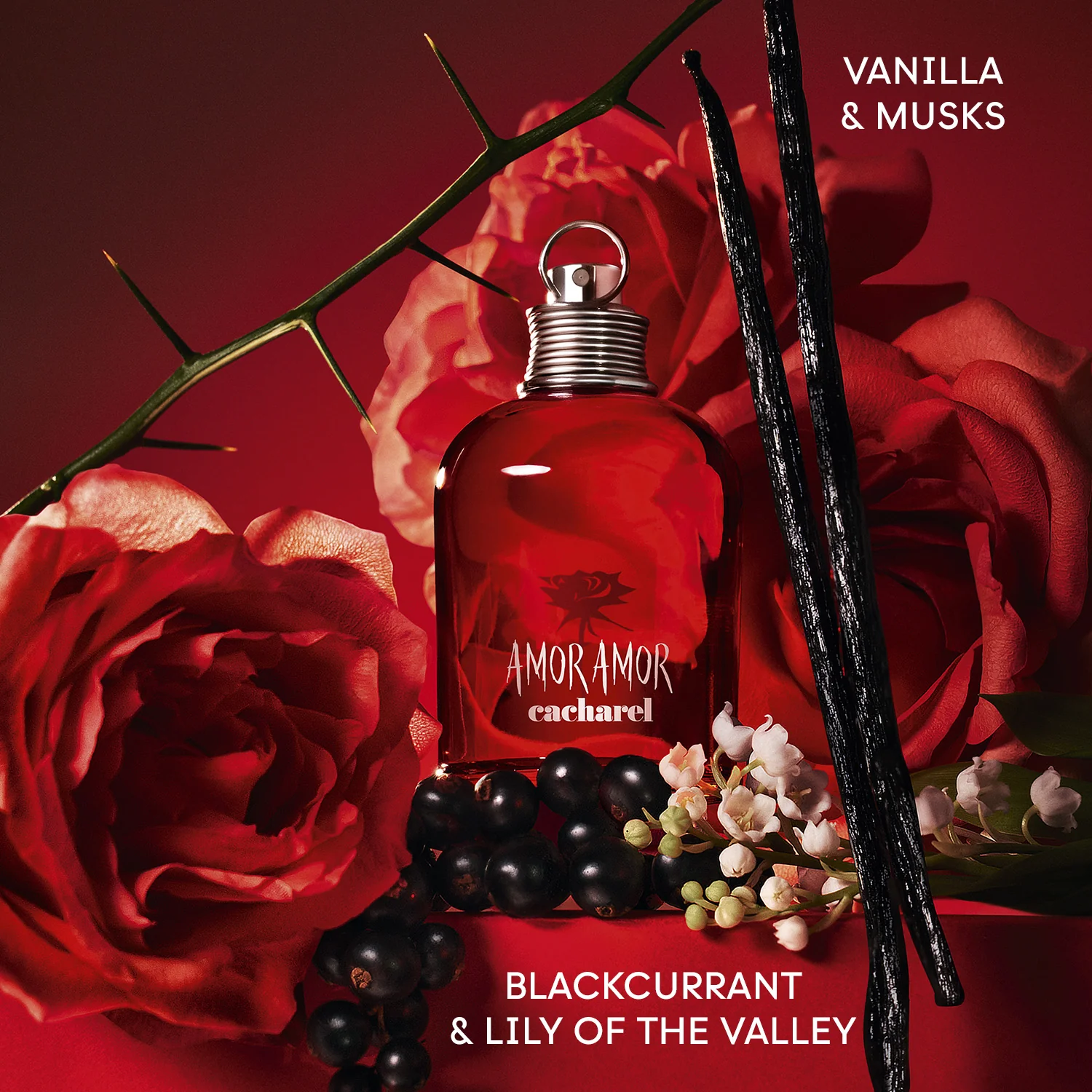Amor Amor Amor Amor - Eau de Toilette