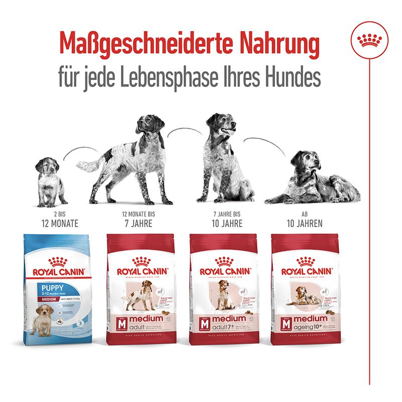 Royal Canin Medium Adult 7+