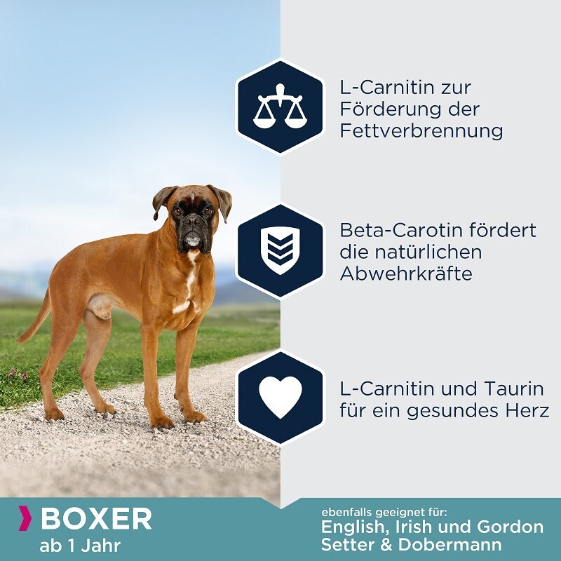 EUKANUBA Hundetrockenfutter EUKANUBA Breed Specific Boxer 2x12 kg