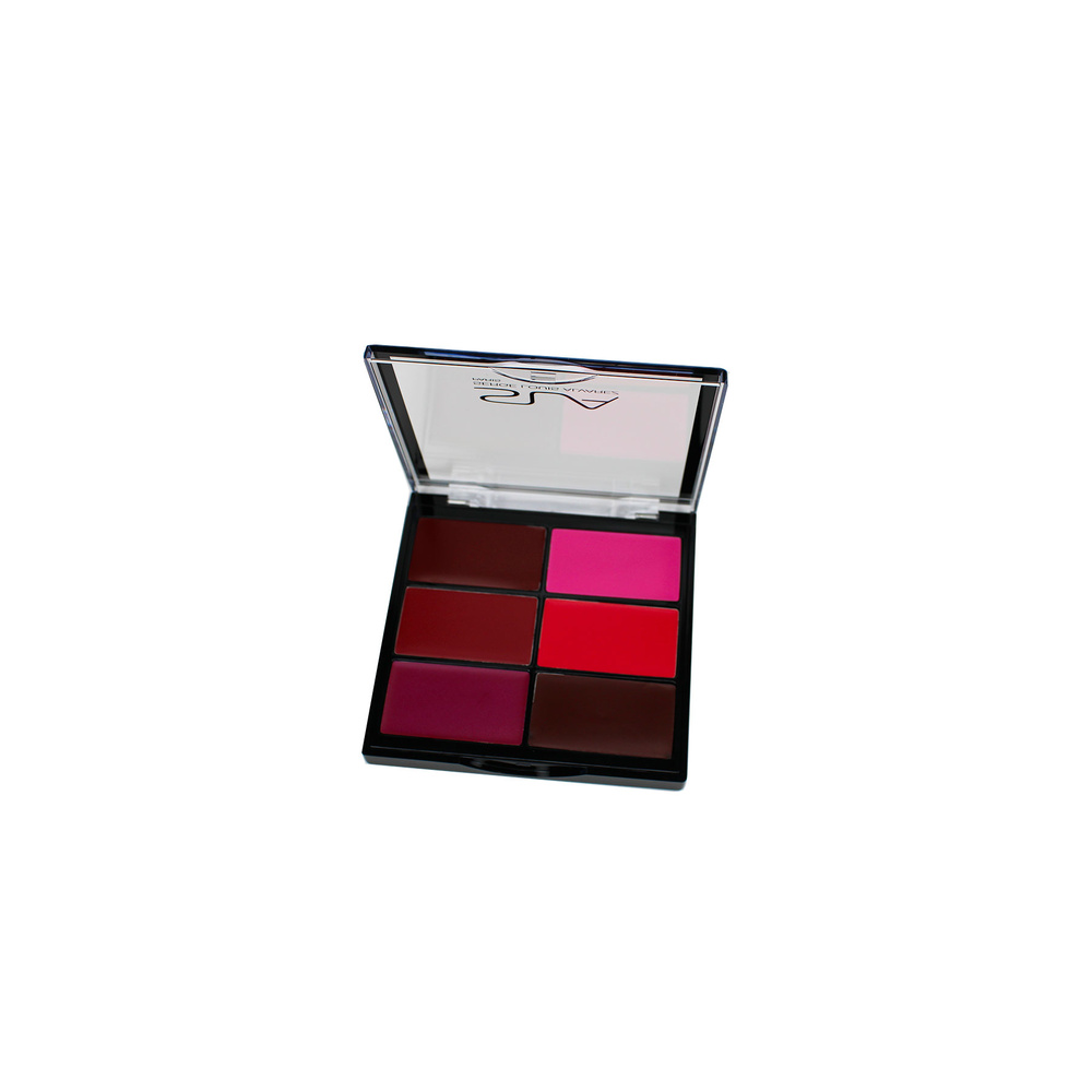 Sla Paris Palette artist pro 6 rouges à lèvres Frozen pink Rouge à lèvres