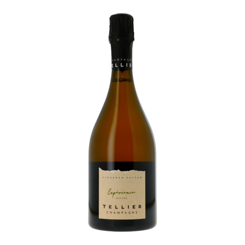 Blanc de Blancs Extra-Brut Nature Expérience B16 - Champagne Aoc - Champagne - Quentin Tellier (75CL.)