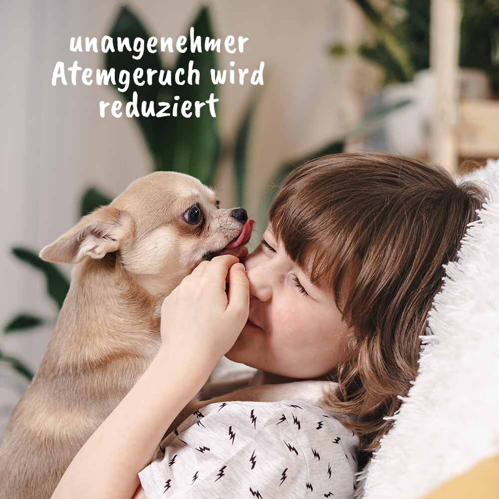 dentaVet Zahnpflege dentaVet Gel 25ml