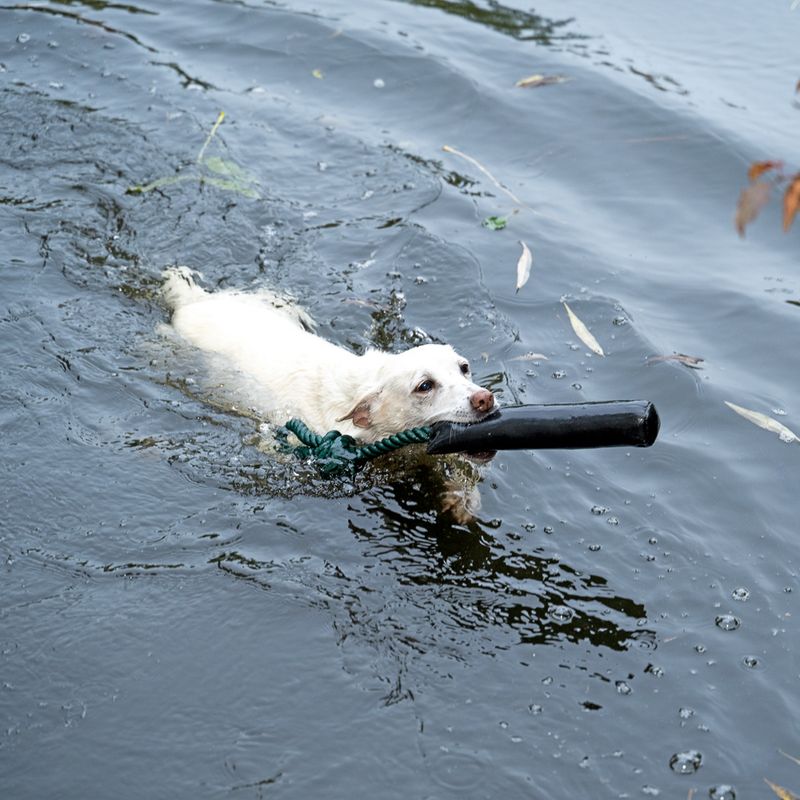 Nomad Tales Spirit Schwimmender Dummy zu TOP-Preisen | bitiba %