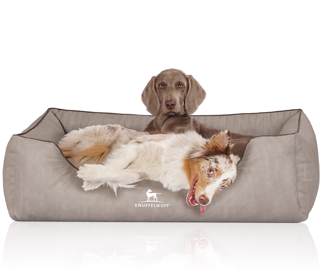 Knuffelwuff Hundebetten Knuffelwuff Orthopädisches Hundebett Tampa aus laser-gestepptem Kunstleder grau XL