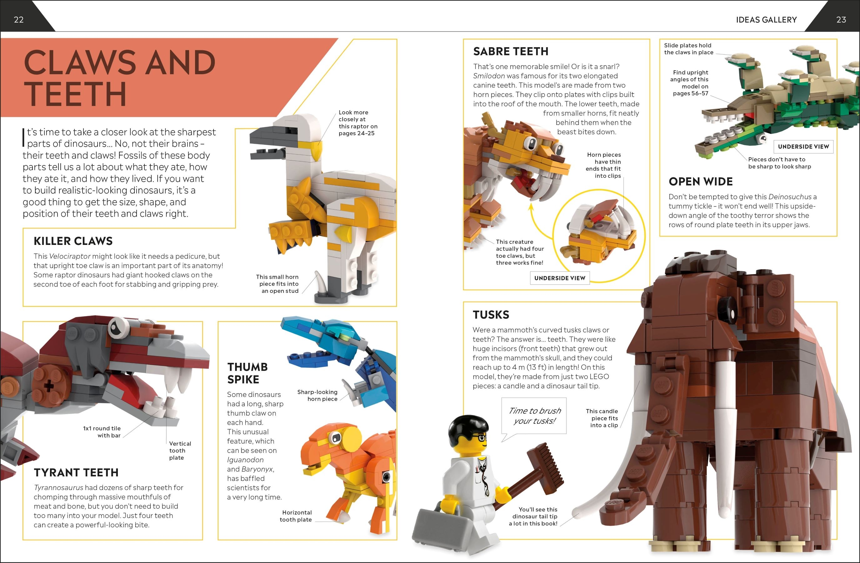 How to Build LEGO® Dinosaurs 5007582