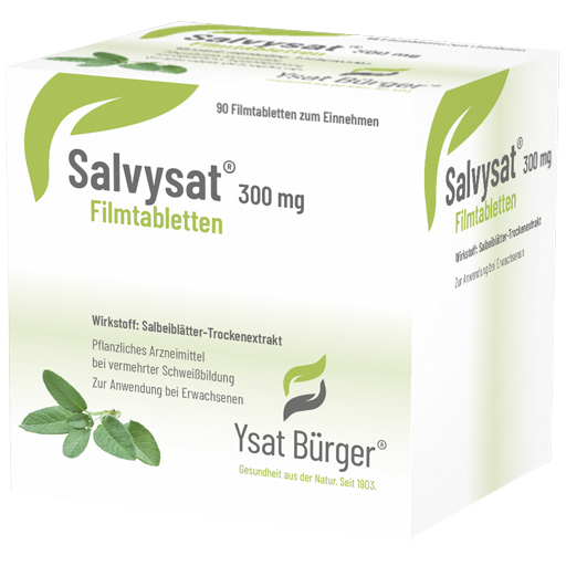 SALVYSAT 300 mg Filmtabletten  90 St  Filmtabletten