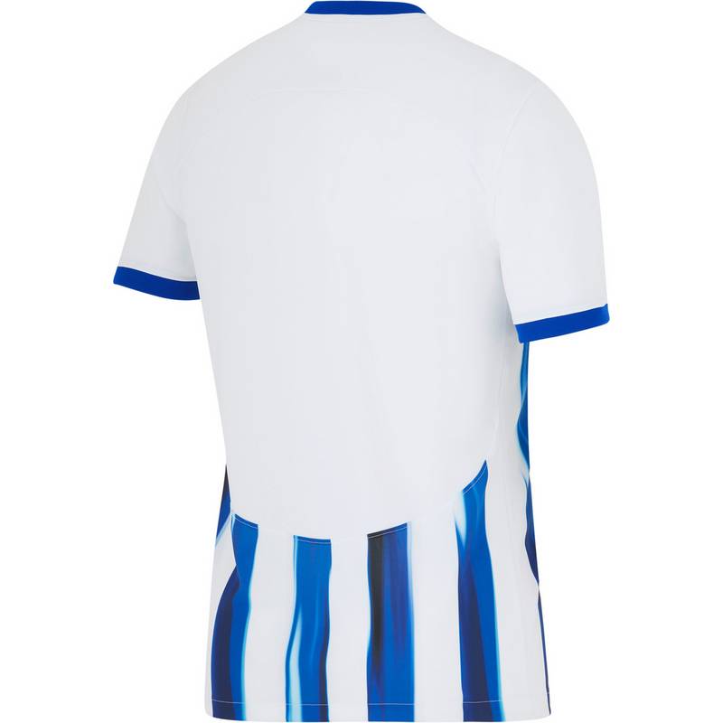 Nike Hertha BSC 23-24 Heim Teamtrikot Herren