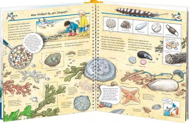 Ravensburger Wieso? Weshalb? Warum?, Band 17: Komm mit ans Meer