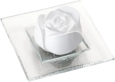 DUFTSTEIN Rosenblüte Glasteller transparent  1 St