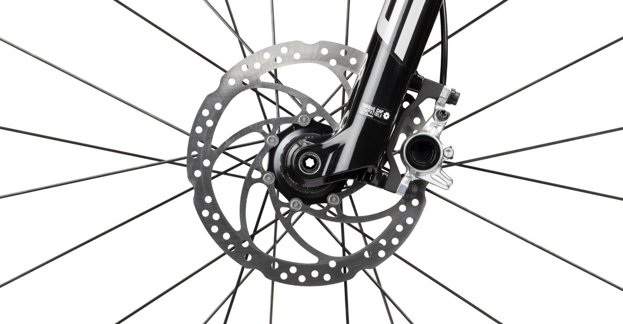 Radon Jealous 10.0 kaufen | Bike-Discount