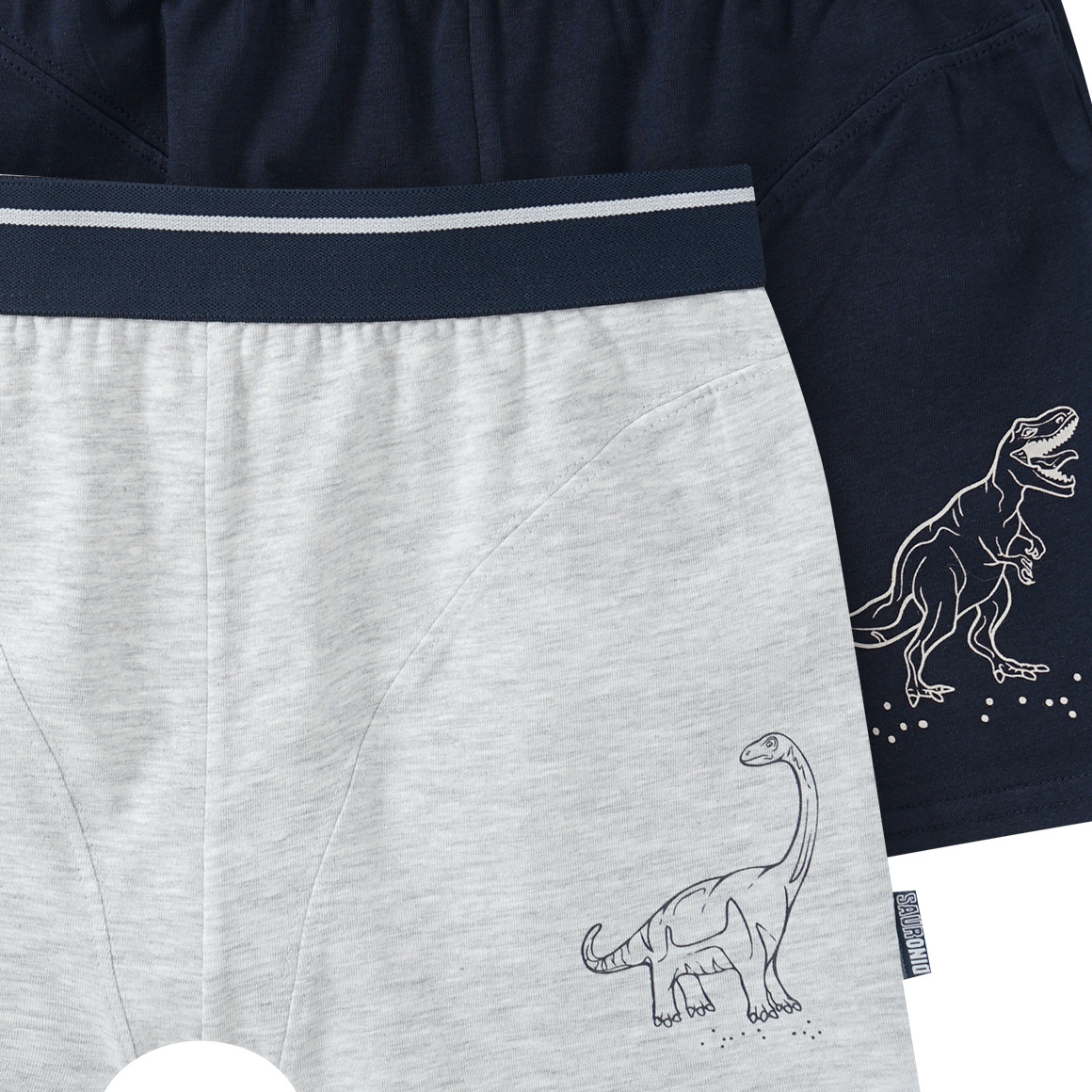 2 Jungen Boxer mit Dino-Motiv