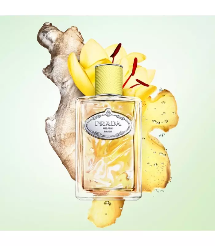 INFUSION DE GINGEMBRE Eau de parfum Vive héspéridée Boisée pour homme et femme