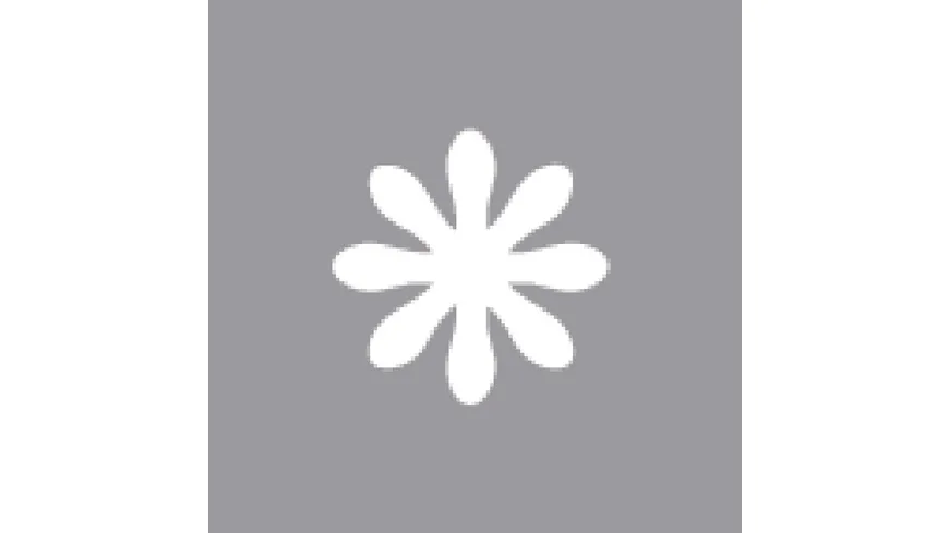 Rayher Motivstanzer Gänseblümchen 1,6 cm