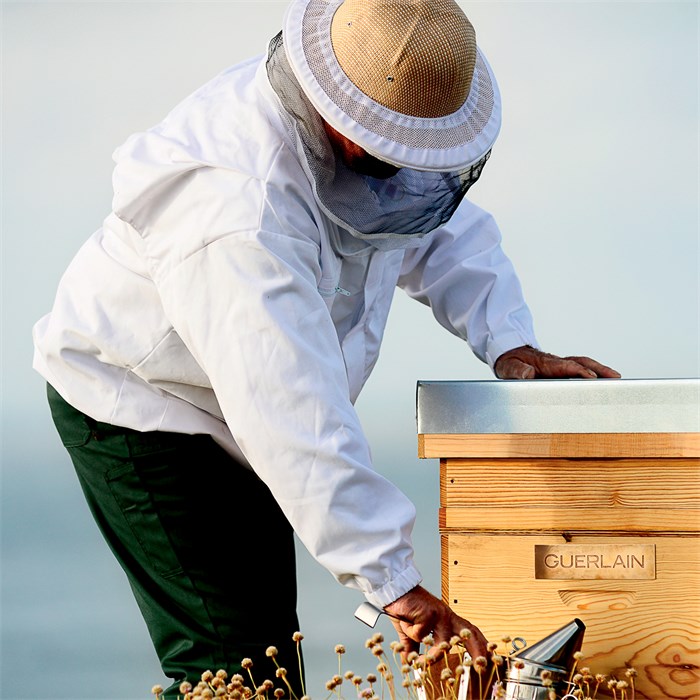 Honey Cataplasm Mask