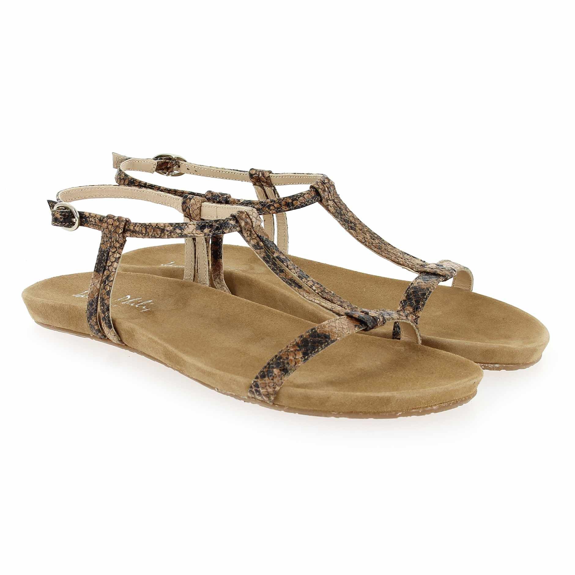 Janie Philip  HAWAI - Camel Python
