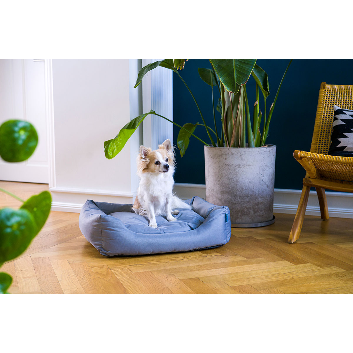ZooRoyal Outdoorbett Noah günstig kaufen