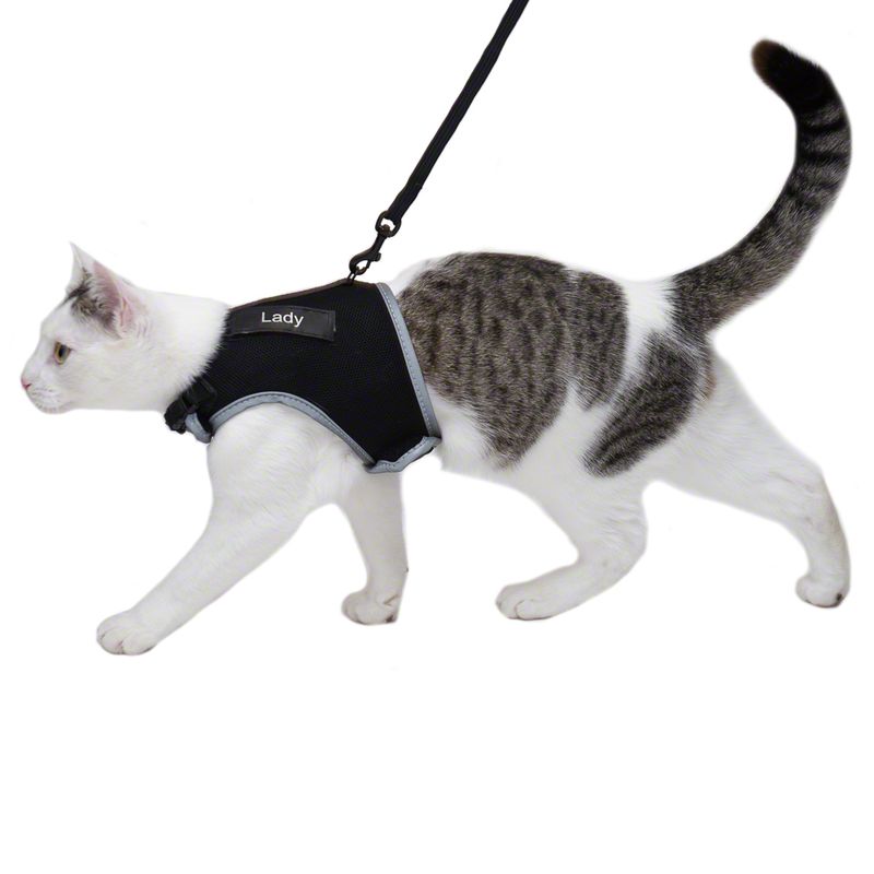 Katzenhalsband + Katzengeschirr zum Discountpreis bei bitiba: Trixie Katzengeschirr XCat XL mit Sticker und Leine, schwarz