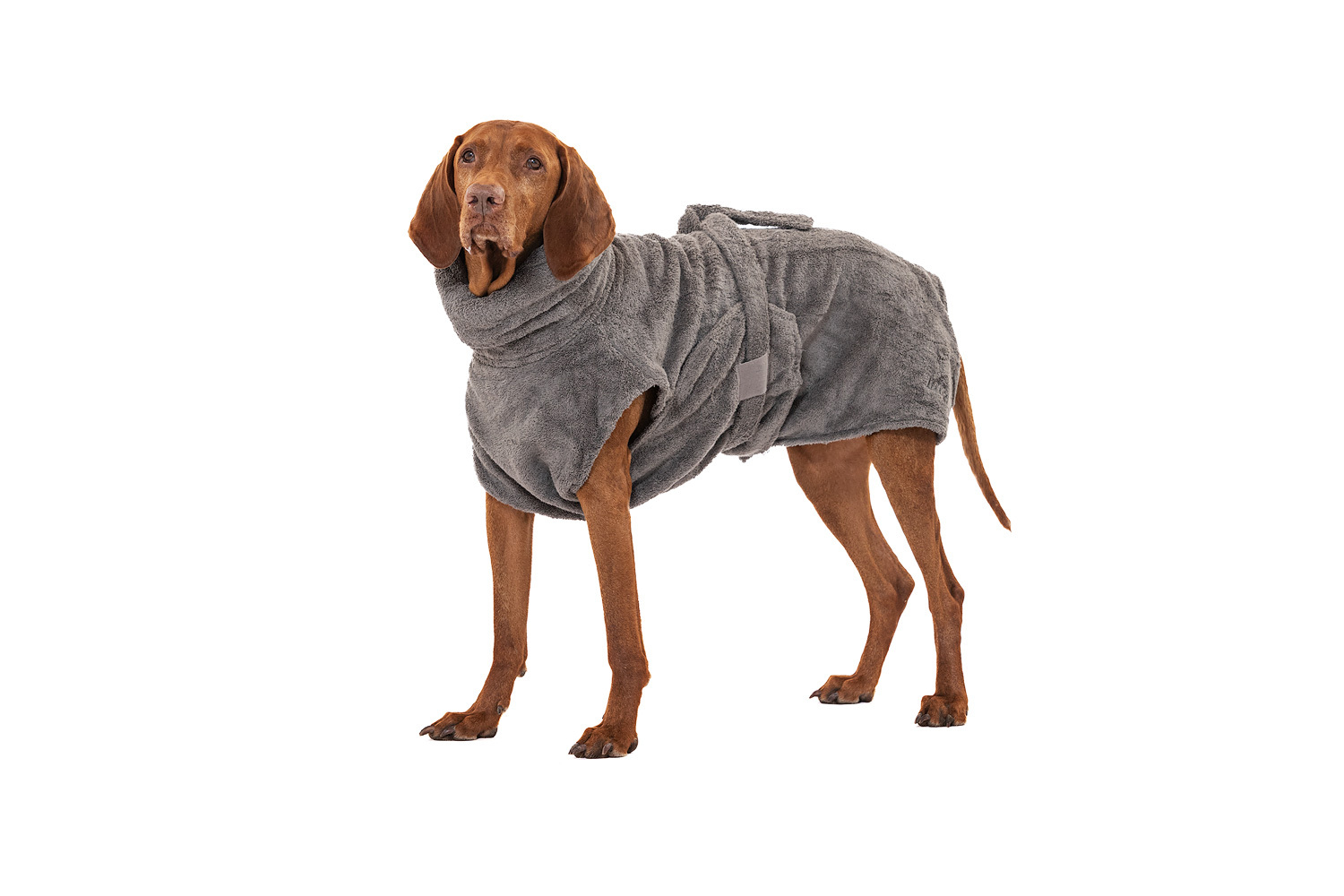 Lills Hundemäntel Lills Lill's Hundebademantel 