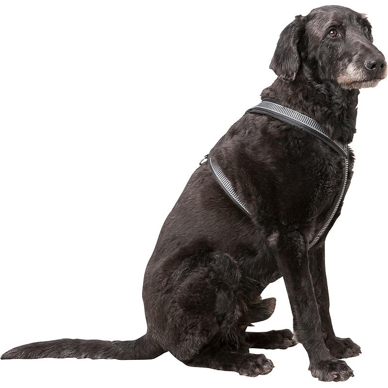 Zoozaker Hundesele Y form 35 cm m/polstring og refleks