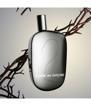 Comme des Garcons 2 Man Eau de Toilette 50 ml