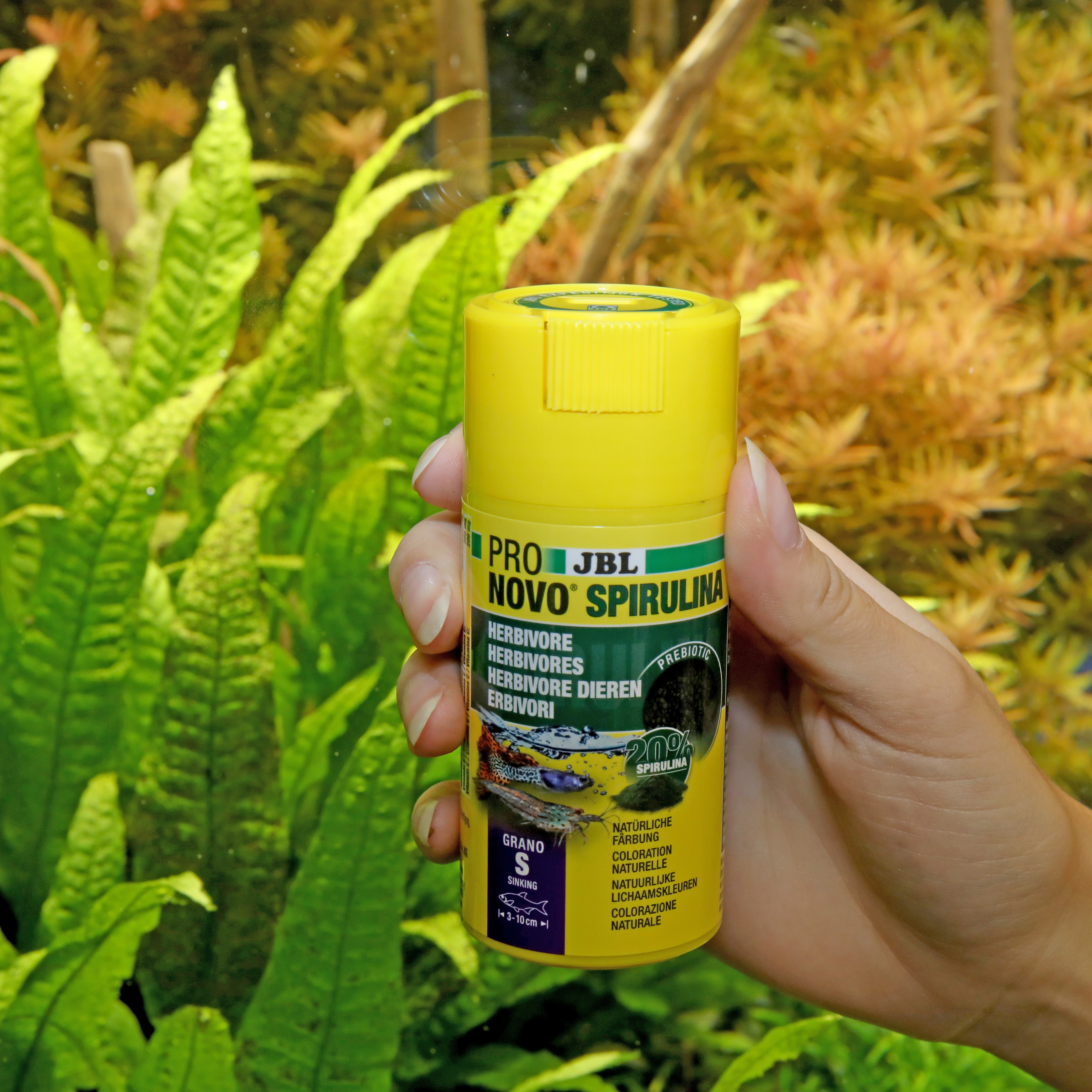JBL Hauptfutter JBL PRONOVO Spirulina Grano S 100ml
